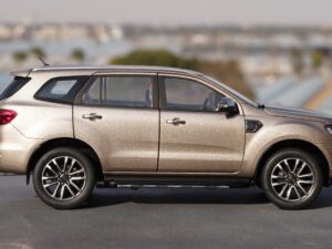 Ford Everest Paudi Grey